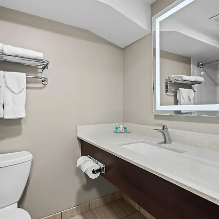 Comfort Inn & Suites Airport South-2