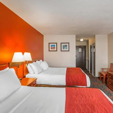Comfort Inn & Suites Calgary - University-3