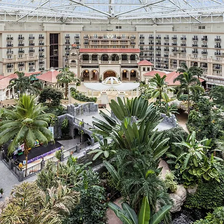 Gaylord Palms Resort & Convention Center-2