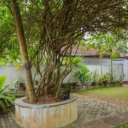Uyanwatta Guest House-2
