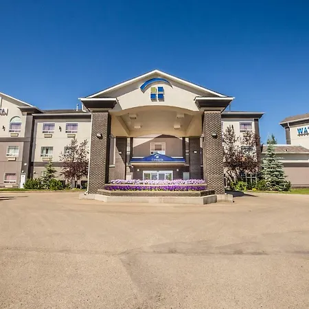 Canalta Hotel Camrose-3