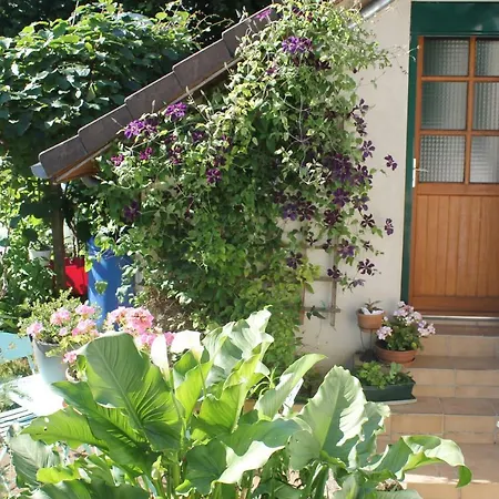 Chambre d'Hôtes Orchidees-3
