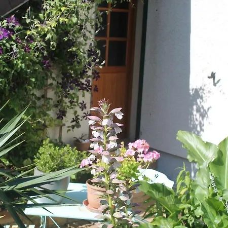 Chambre d'Hôtes Orchidees-2