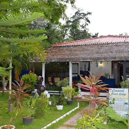 Coconut Beach Lodge-3